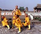 About Shaolin quan & Shaolin