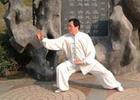 Introduction of Tai Chi Chuan Styles in China