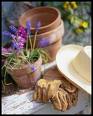 Garden Protection Guide(1)