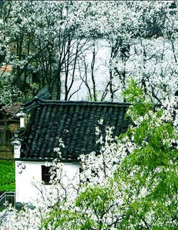 Enjoy the Countryside Leisure in Hangzhou