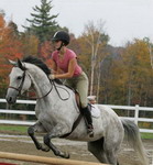 Do You Know the Original of the Equestrian Sports?