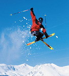 Olympic Freestyle Skiing Medalists