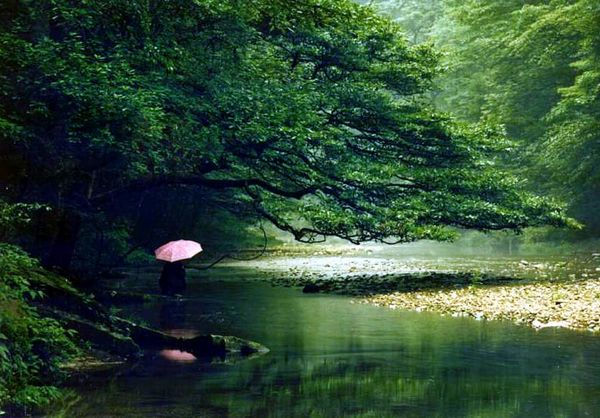 Zhangjiajie National Forest Park---Refresh Yourself in the Nature