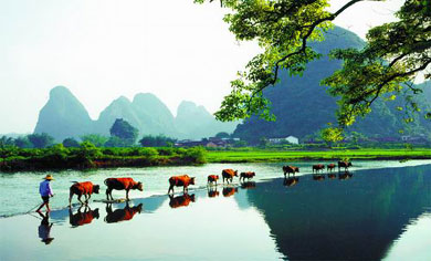 Yangshuo---A Pure Land to Breath Fresh Air