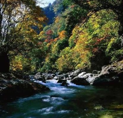 Top Ten Mysterious Natural Reserves in China